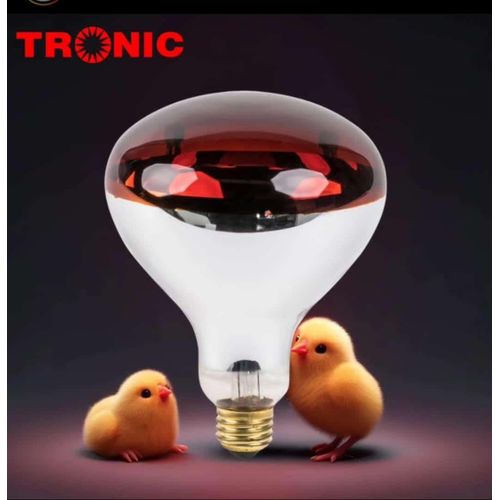 Chicken Bulbs