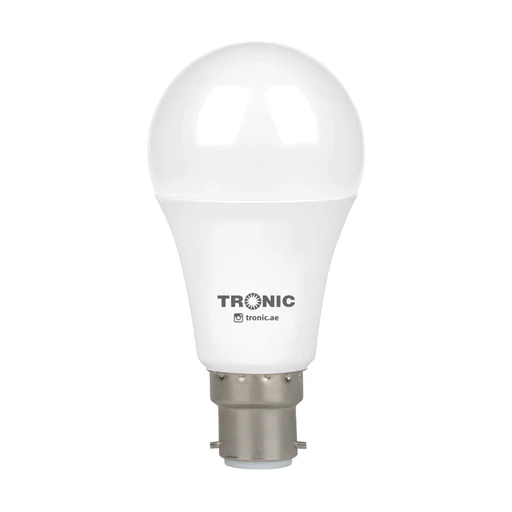 Bulb LED Warm White(Pin) 12W