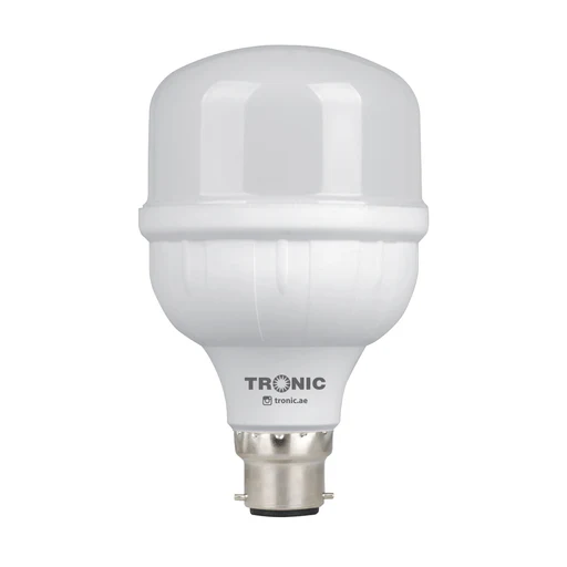 Bulb LED Warm White(Pin) 20W